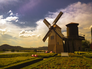 The rural landscape scene of beautiful vintyard windmill