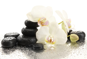 Pierres de spa et fleurs d& 39 orchidées, isolées sur blanc.