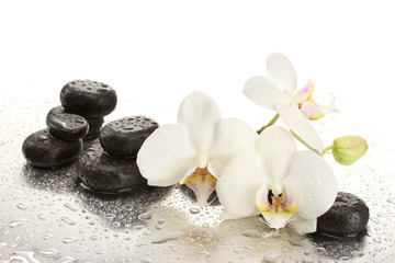 Pierres de spa et fleurs d& 39 orchidées, isolées sur blanc.