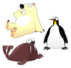 Polar animals