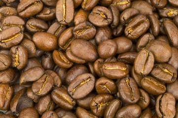 Kaffeebohnen