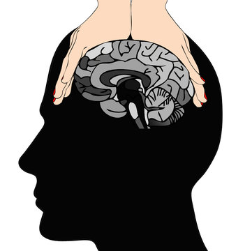 hands holding brain silhouette clip art preview