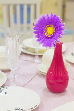 Brightl flower in a vase