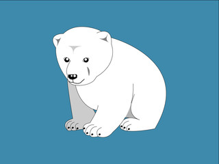 Polar bear