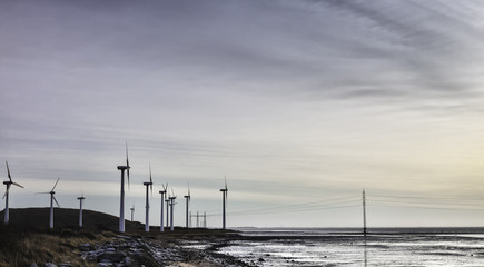 Wind turbine farm in the wadden sea, Esbjerg, Denmark
