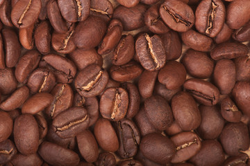 Fototapeta premium Coffee beans