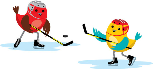 Birds play hockey
