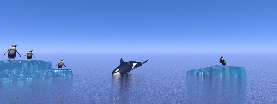 orca, penguin