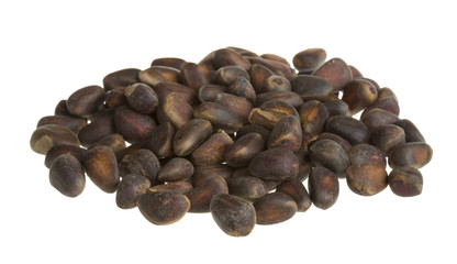 cedar nuts