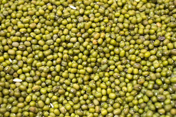Green Bean