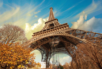 Naklejka premium Wonderful street view of Eiffel Tower and Winter Vegetation - Pa