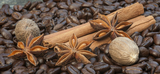 Detail image of coffee beans, cinnamon sticks, sar anise and nut