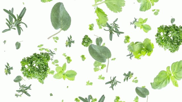 Herbs falling down on white background