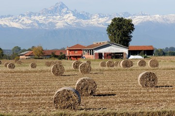 balle di fieno