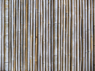Fond bambou