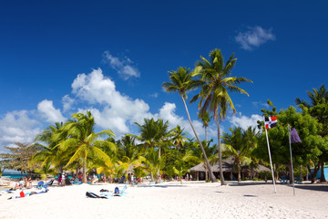 Palm trees on the tropical beach, Saona Island, Dominican Rep - obrazy, fototapety, plakaty