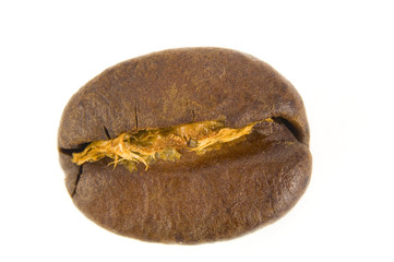 Obraz premium Kaffeebohnen