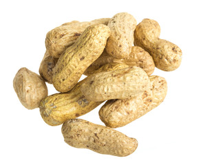 close up of peanut