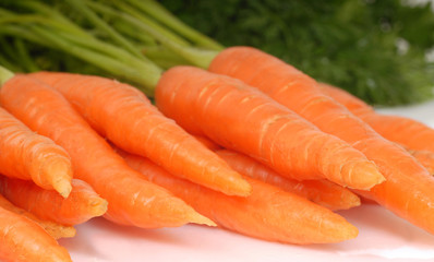 Freshly picked organic carrots