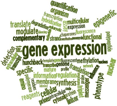 Word cloud for Gene expression
