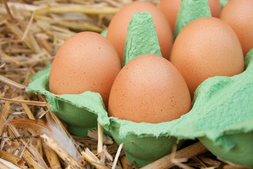 eggs