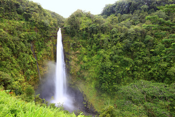 Cascade - chutes d& 39 Akaka Hawaï