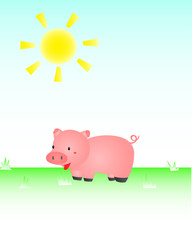Pig In The Sun