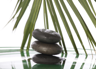Green leaves over zen stones pyramid on water surface 