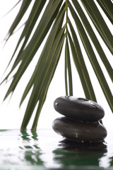 Grean leaves over zen stones pyramid on water surface 