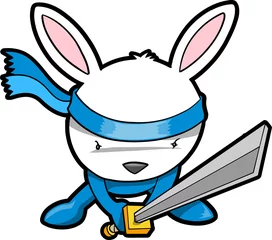 Poster de jardin Dessin animé Cute Bunny Rabbit Ninja Vector
