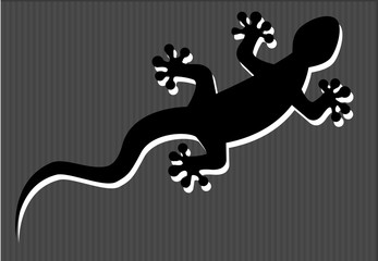 silhouette of gecko