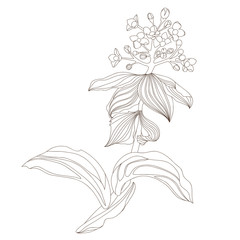 Floral design, vector illustration