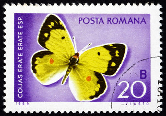 Postage stamp Romania 1969 Eastern Pale Clouded Yellow, Butterfl