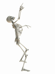 Skeleton pointing at copy space