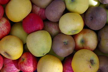 Pommes Bio
