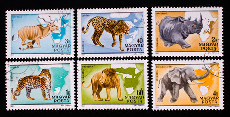 Postage stamp © Andranik7