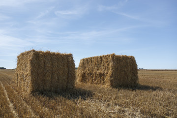 Hay Bale