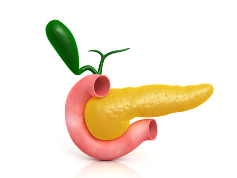 Pancreas
