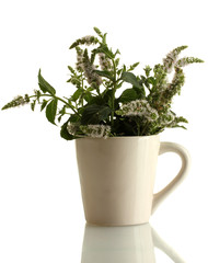 fresh mint with flowers in cup, isolated on white