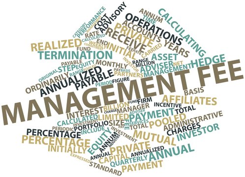 Word cloud for Management fee