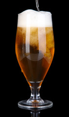 Glass of beer isolated on black