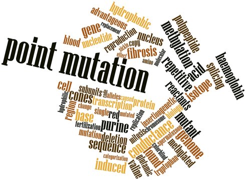Word cloud for Point mutation