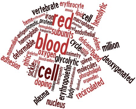 Word cloud for Red blood cell