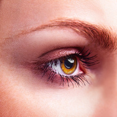 Obraz premium yellow eye