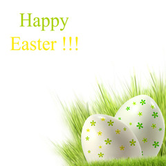 easter eggs on green grass 