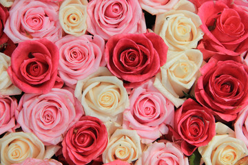 White and pink roses in arrangement