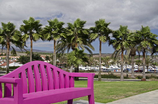 Gran Canaria, Park von Pasito Blanco.