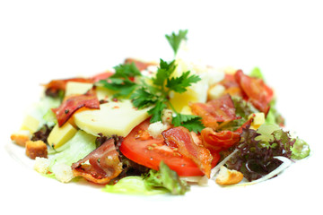 Gourmet salad with bacon on white