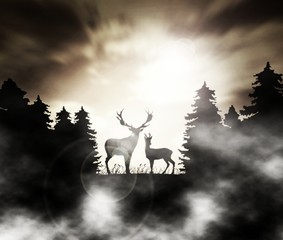 deers - old photo - forest in the mist