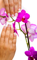 Fototapeta premium Woman's french manicure and pedicure 